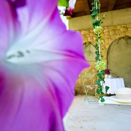 Marija * Сукошан