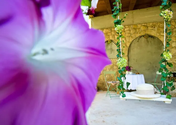 Marija * Сукошан